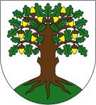 Zastupitelstvo města 1