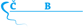 Česká Beseda